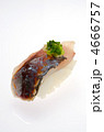horse mackerel sushi, アジ