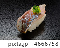 horse mackerel sushi, アジ
