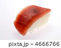 tuna sushi, マグロ