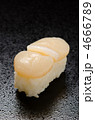 scallop sushi, ホタテ