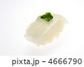 flounder sushi, エンガワ