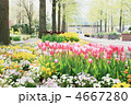 とっとり花回廊