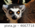 4667718