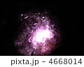 4668014