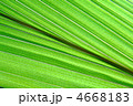4668183