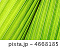 4668185