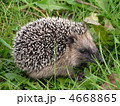 4668865