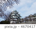 桜の名古屋城
