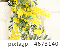 ミモザの花*　インテリア
