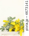 ミモザの花*　雑貨