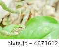 4673612