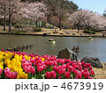 はままつフラワーパーク（桜と池とチューリップ）