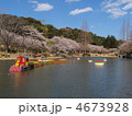 春のはままつフラワーパーク・池の辺り