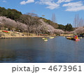 春のはままつフラワーパーク