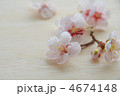 梅の花
