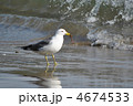 4674533