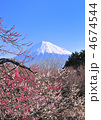 梅と富士山-223027
