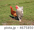 4675850