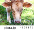 4676374