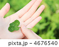 四つ葉のクローバー／植物／手のひら