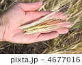 4677016