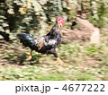 4677222