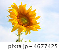 4677425