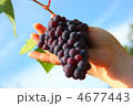 4677443