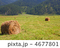 4677801