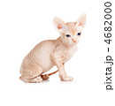 4682000