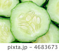 4683673