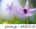 かたくり