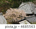 京都　十輪寺