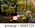 京都　正法寺のツクバイ