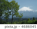 五月晴れ