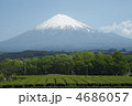 茶畑と富士山