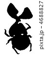 カブトムシ