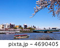 青空が広がる隅田川の満開の桜並木と屋形船