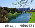 皇居のお堀の半蔵濠周辺の若葉と新緑