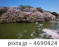 千鳥ヶ淵の満開の桜とボート遊びの花見客