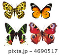 4690517