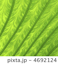 4692124
