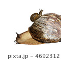 4692312