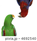 4692540