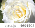 4694502
