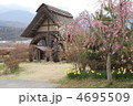 山梨県　北杜市　水車公園　春