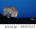 山梨県　韮崎市　わに塚の桜　夜景