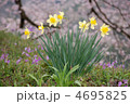 山梨県　韮崎市　わに塚の春