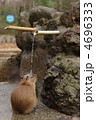 カピバラの打たせ湯