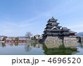 国宝　松本城と桜